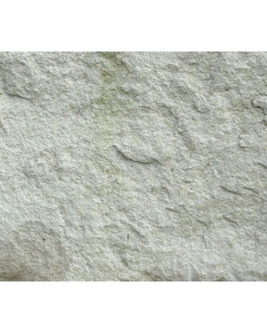 Vilhonneur classiques kalksteen